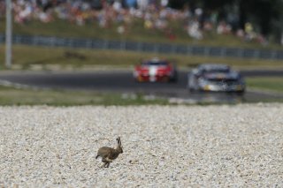 FIA GT Series Slovakia Ring - Slovakia