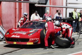 FIA GT Series Zolder