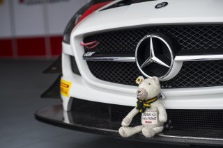 Fortec Motorsports Mascot