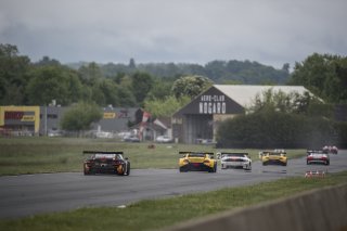 Race Action Back Straight NOGARO