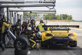 Piquet (BRA) – Stumpf (BRA) / BMW Z4 GT3 #21 AH COMPETICOES TEAM BRAZIL