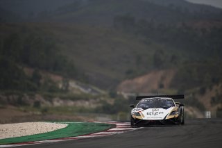 Proczyk (AUT) – Bleekemolen (NED) / Lamborghini Gallardo GT3 FLII #28 GRASSER RACING