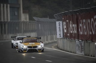 Zanardi (ITA) / BMW Z4 GT3 #33 ROAL MOTORSPORT