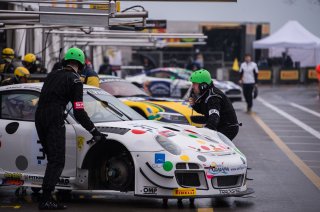 Siedler (AUT) – Westbrook (GBR) / Porsche 997 GT3 R  #31 TRACKSPEED 