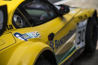 Ayrton Senna Tribute / BMW Z4 GT3 #30 AH COMPETICOES TEAM BRAZIL