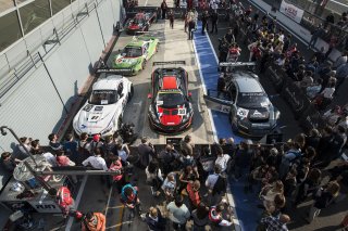 Winners "circle" MONZA