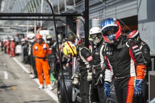 Eric Clément (FRA) / BMW Z4 GT3 #10 TDS RACING