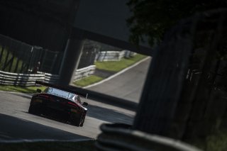 Abra (GBR) – Poole (GBR) – Osborne (GBR) / Aston Martin Vantage GT3 #38 MP MOTORSPORT AMR