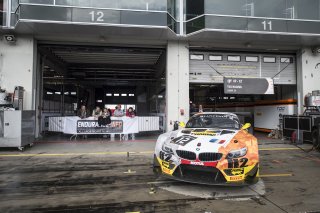 Hassid (FRA) – Catsburg (NED) / BMW Z4 GT3 #12 TDS RACING