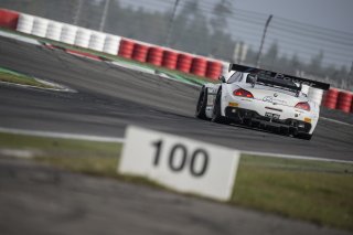 Cerruti (ITA) – Comandini (ITA) – Amos (ITA) / BMW Z4 GT3 #43 ROAL MOTORSPORT