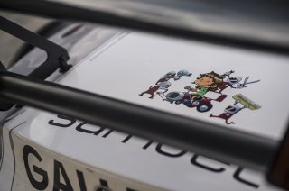 TDS Racing Decoration
