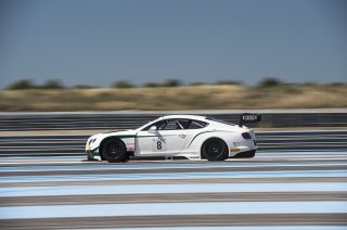D’Ambrosio (BEL) – Tappy (GBR) – Leclerc (FRA) / Bentley Continental GT3 #8 M-SPORT BENTLEY