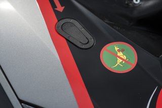 Kangaroo Detail - Lamborghini Gallardo GT3 FLII #23 LAGO RACING