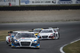 Latif (GBR) – Basseng (DEU) / Audi R8 LMS Ultra #5 PHOENIX RACING