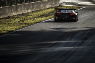 Richelmi (MCO) – Ortelli (MCO) / Audi R8 LMS Ultra #9 BELGIAN AUDI CLUB TEAM WRT