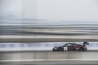 Vanthoor (BEL) – Ramos (BRA) / Audi R8 LMS Ultra #1 BELGIAN AUDI CLUB TEAM WRT
