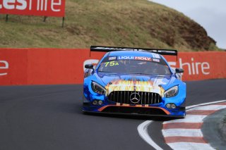 #75 Mercedes-AMG Team SunEnergy1 Racing Mercedes-AMG