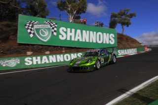 #540 Black Swan Racing Porsche