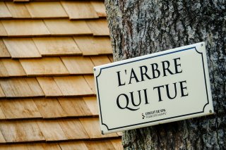 Press Conference at l'Arbre Qui Tue