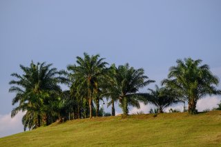 Sepang International Circuit