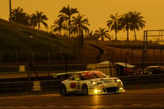 #911 Manthey Racing Porsche 911 GT3R Nick Tandy (GBR) Earl Bamber (NZL) Patrick Pilet (FRA)