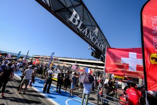 Grid Walk Main Race