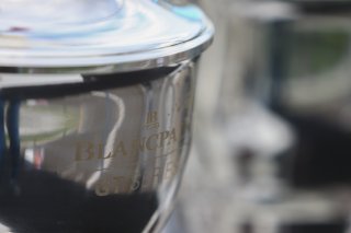 DETAIL CUP