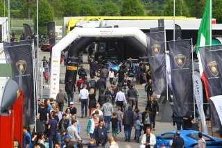 CROWDY PADDOCK