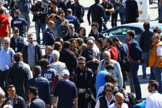 CROWDY PADDOCK