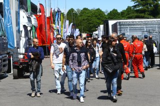 CROWD