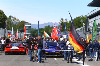 AMBIANCE STARTING GRID