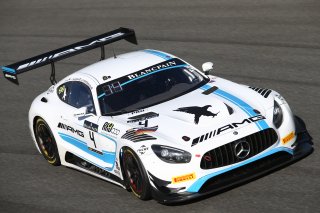 #4 MERCEDES AMG TEAM BLACK FALCON (DEU) MERCEDES AMG GT3 ADAM CHRISTODOULOU (GBR) YELMER BUURMAN (NDL) LUCA STOLZ (DEU) PRO CUP