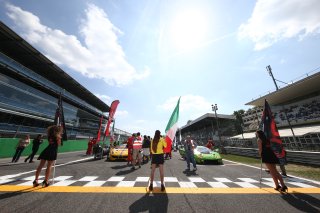 AMBIANCE GRID GIRL