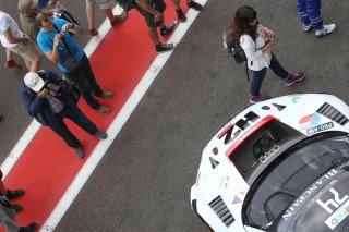 PITWALK FOR FANS