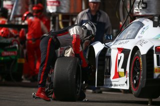 #74 ISR (CZE) AUDI R8 LMS GT3 CREW
