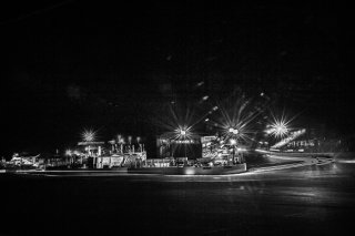 PADDOCK BY NIGHT
