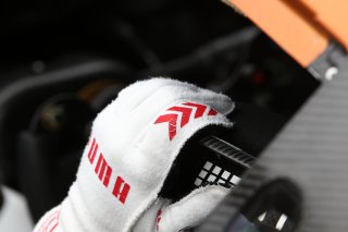 GLOVE DETAIL