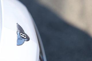 BENTLEY TEAM M SPORT (GBR) BENTLEY CONTINENTAL GT3 LOGO