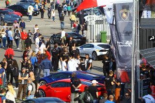 AMBIANCE PADDOCK