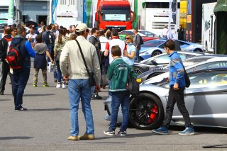 AMBIANCE PADDOCK