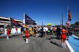 GRID GIRLS