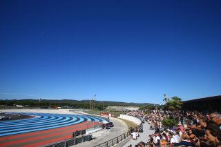 CROWD