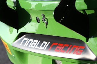 RINALDI RACING (DEU) LOGO