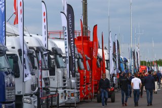 AMBIANCE PADDOCK