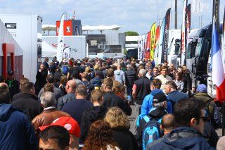 CROWDY PADDOCK