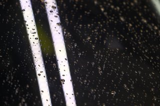 DROPS OF RAIN ON A WINDSHIELD