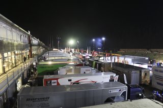 PADDOCK BY NIGHT