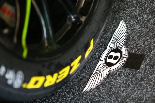 BENTLEY (GBR) LOGO AND PIRELLI TYRE