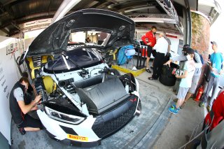 AMBIANCE PITLANE
