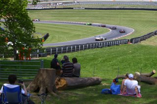 AMBIANCE TRACKSIDE